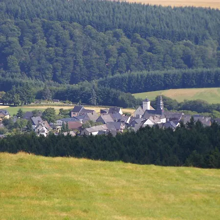 Modern Holiday In Halenfeld Near Forest Buchet